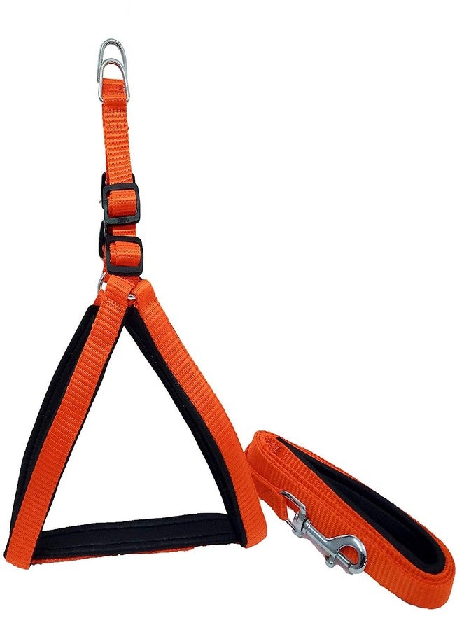 Skora Orange Padded Dog Harness & Leash 0.75 inch (Chest Size 22-25inch)